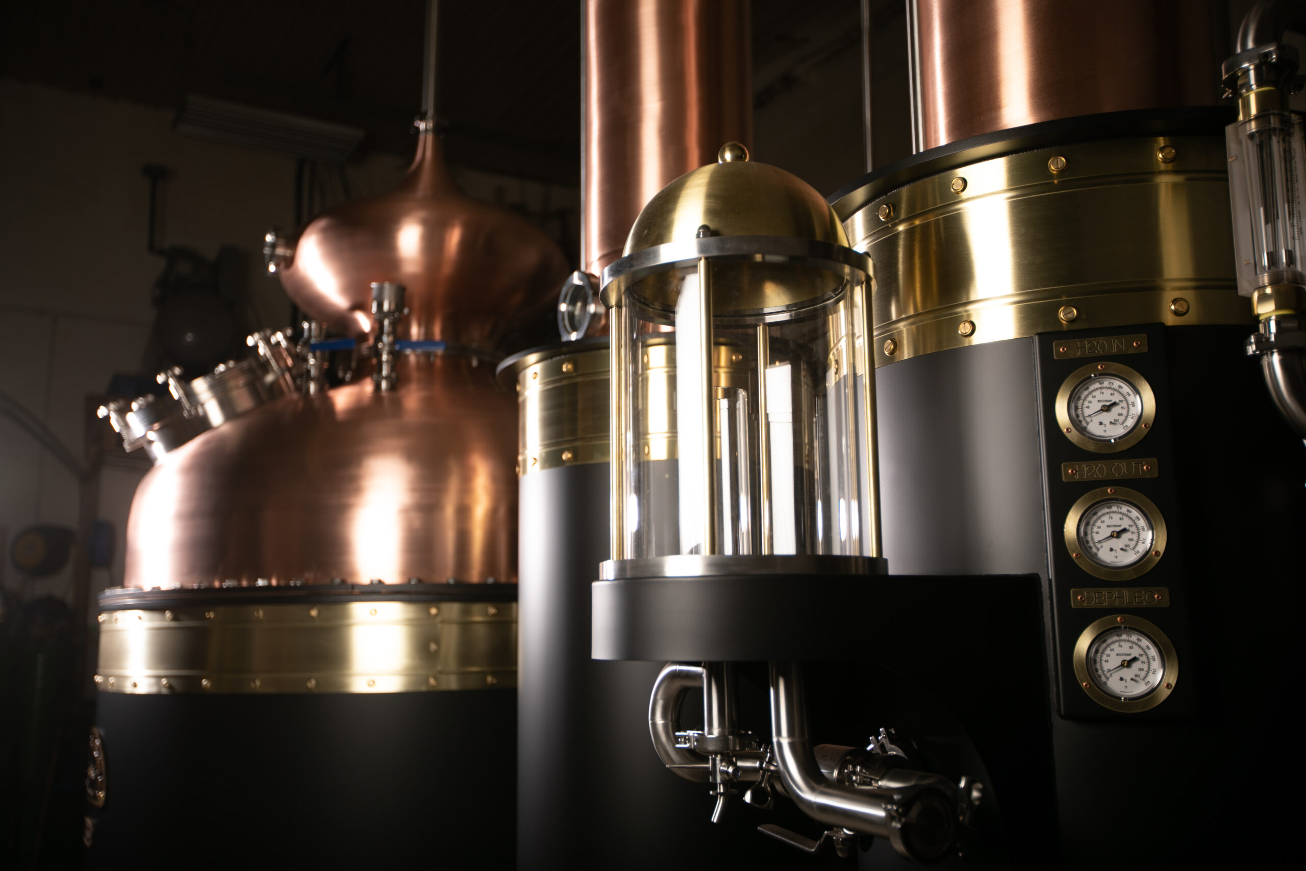 Signature Series Parrot